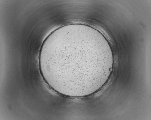 X0000111650814200908141250