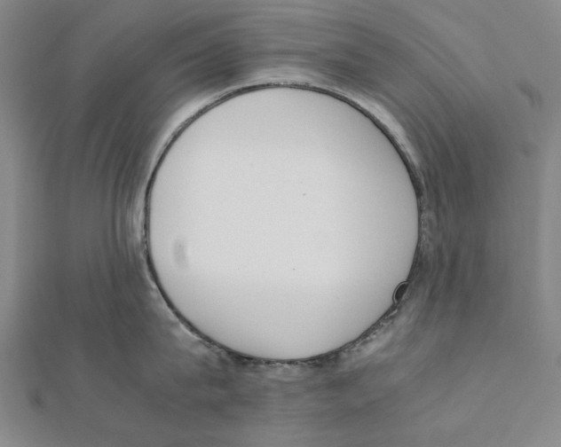 X0000111650815200908141250