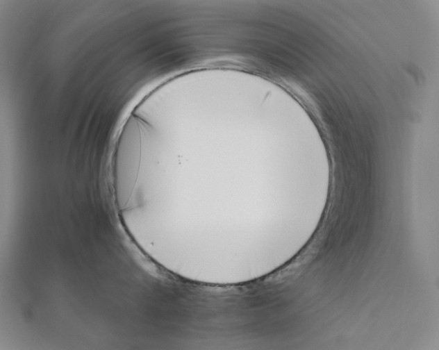 X0000111650816200908141250