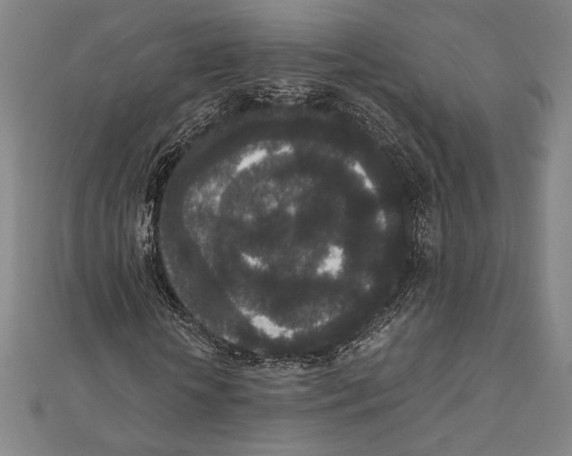 X0000111650818200908141249