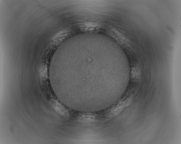 X0000111650820200908141249