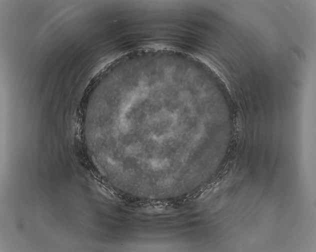 X0000111650823200908141249