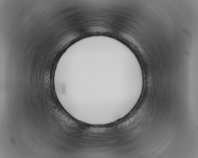 X0000111650825200908141250