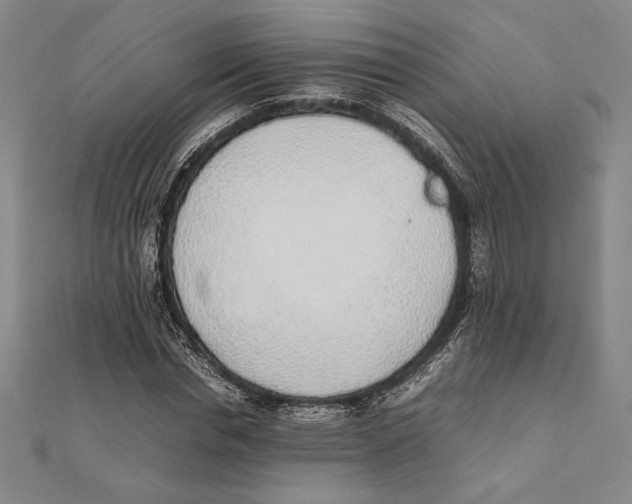 X0000111650826200908141250