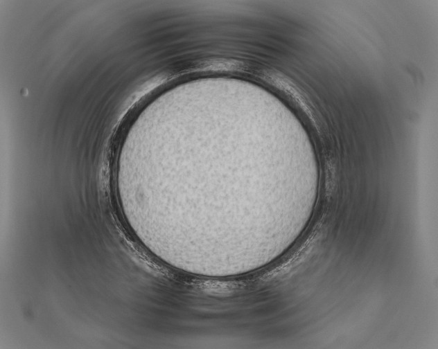X0000111650827200908141250