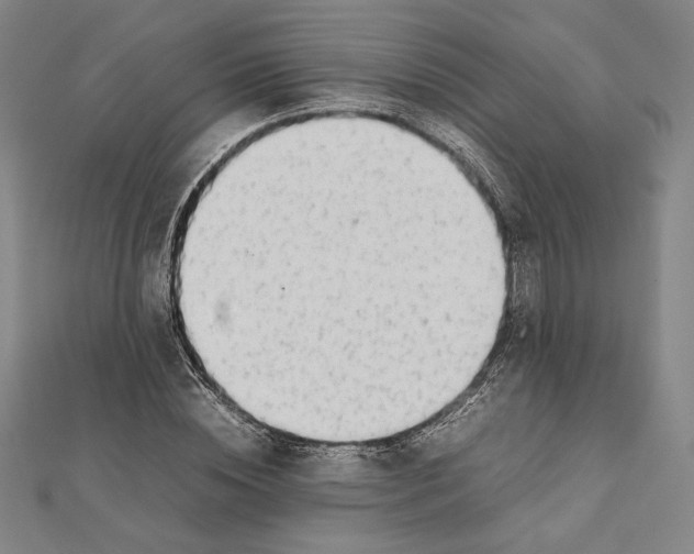 X0000111650828200908141250