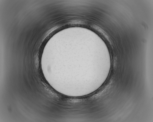 X0000111650829200908141250