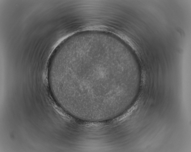 X0000111650830200908141250