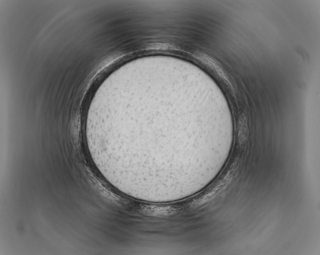 X0000111650831200908141250