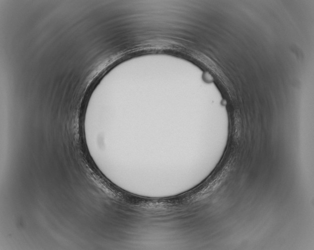 X0000111650834200908141250
