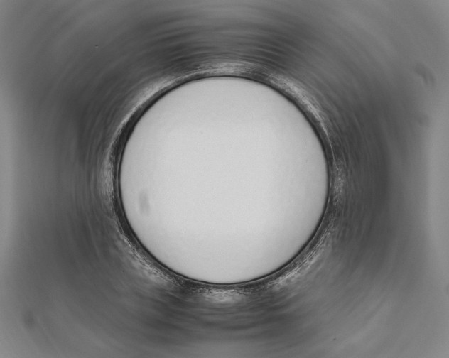 X0000111650835200908141250