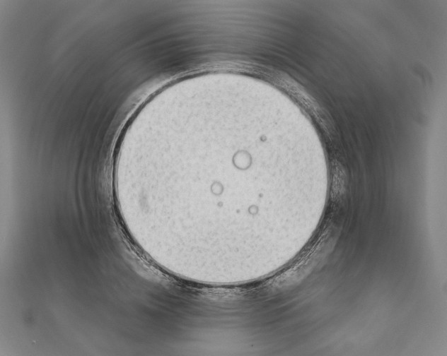 X0000111650836200908141250