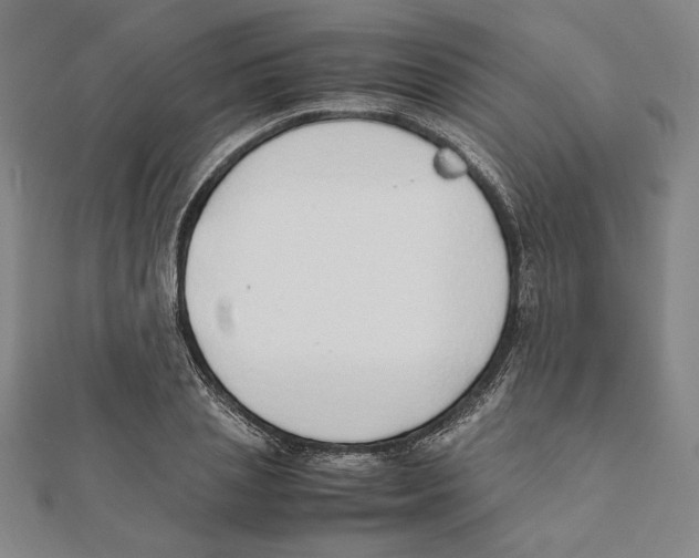 X0000111650837200908141250
