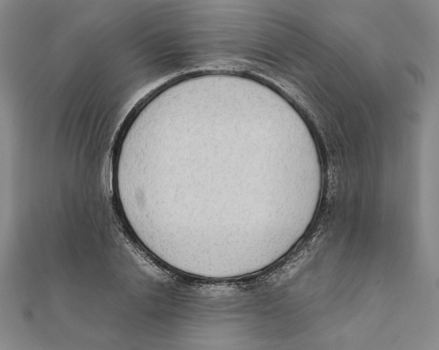 X0000111650838200908141250