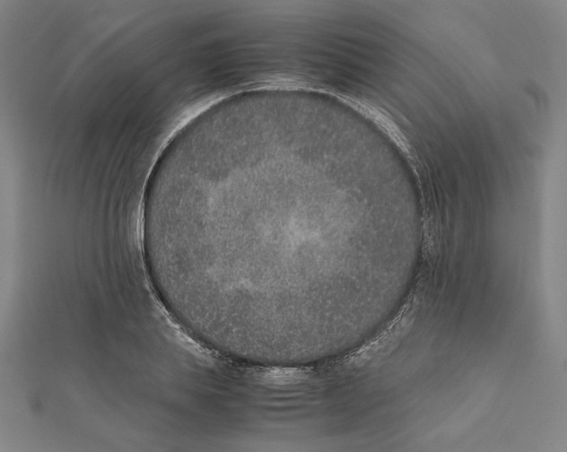 X0000111650839200908141250