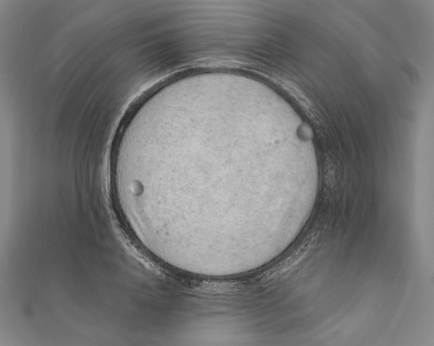 X0000111650840200908141250
