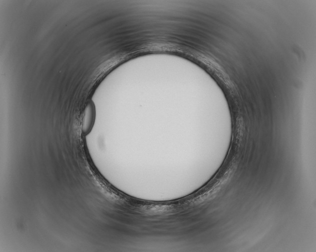 X0000111650841200908141250