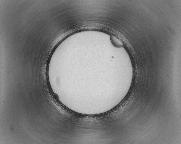 X0000111650842200908141250