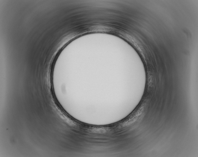 X0000111650843200908141250