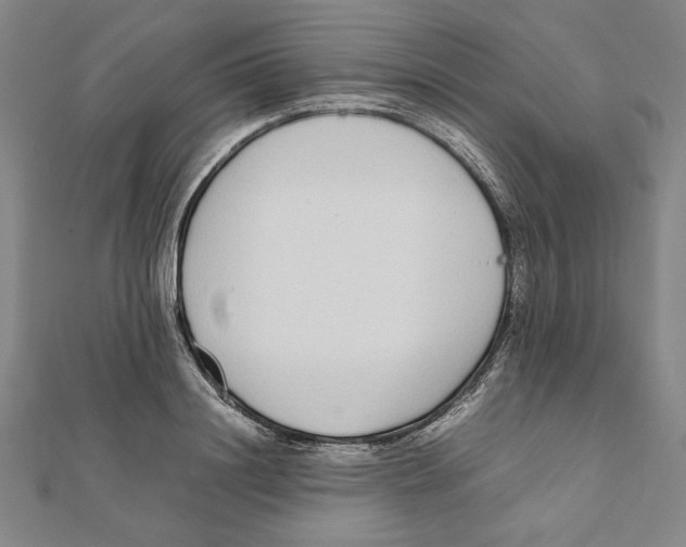X0000111650844200908141250