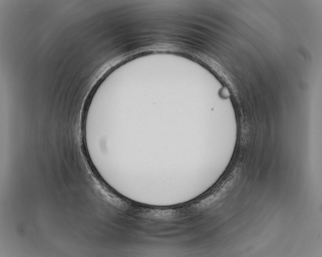 X0000111650845200908141250