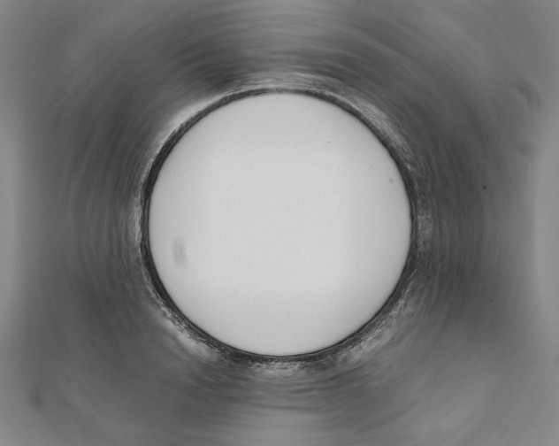 X0000111650846200908141250