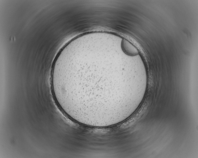 X0000111650847200908141250