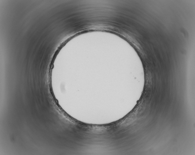 X0000111650848200908141250