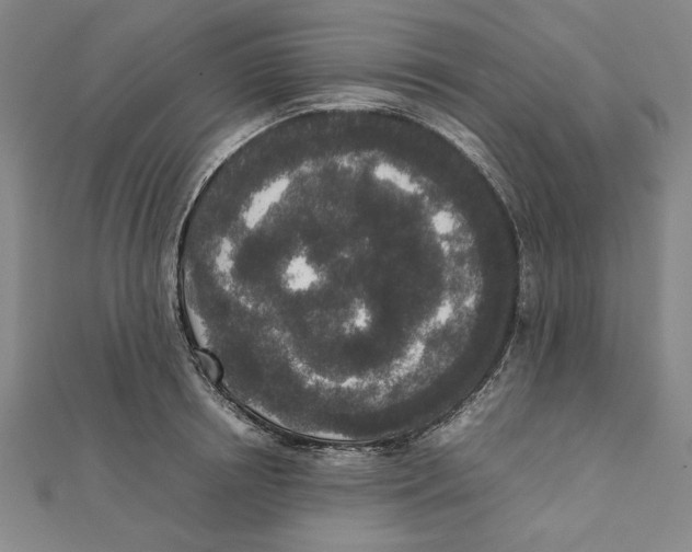 X0000111650850200908141250