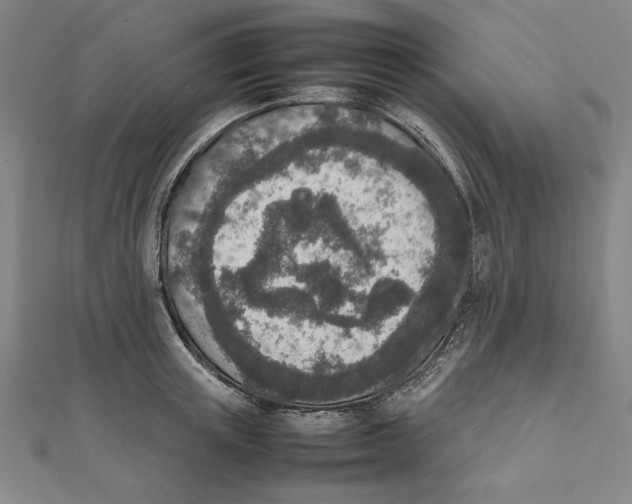 X0000111650851200908141250