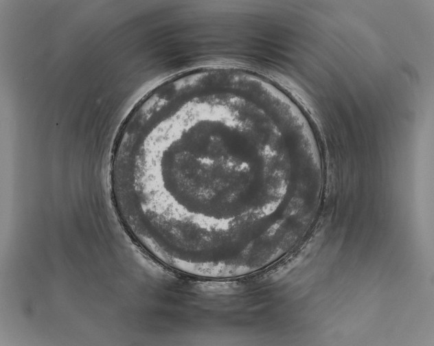 X0000111650853200908141250