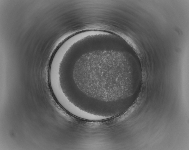 X0000111650854200908141250