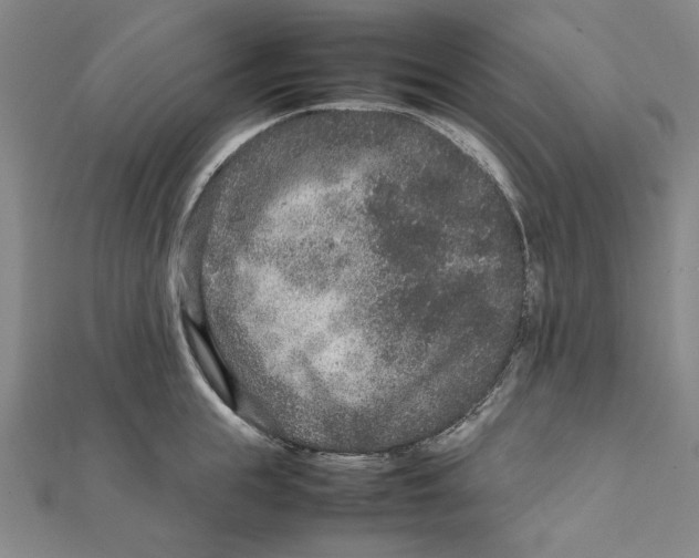 X0000111650855200908141250