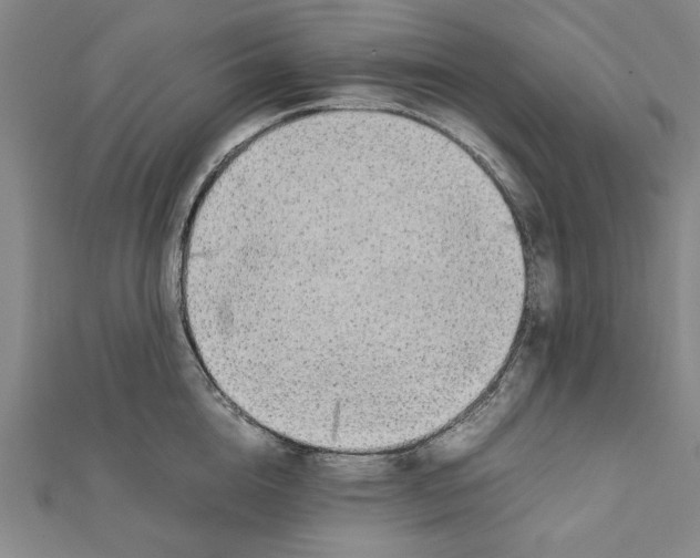X0000111650856200908141250