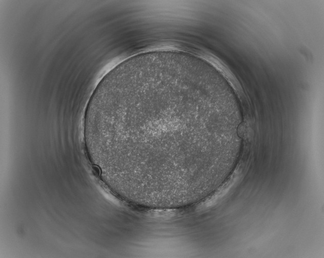 X0000111650858200908141250