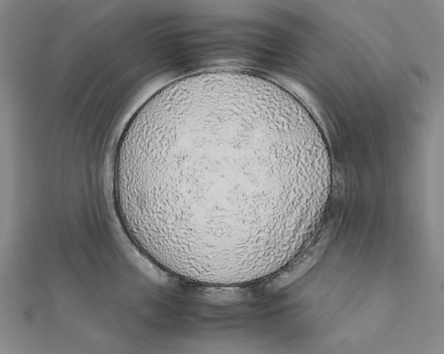 X0000111650859200908141250
