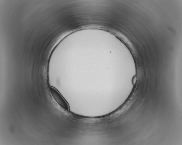 X0000111650860200908141250