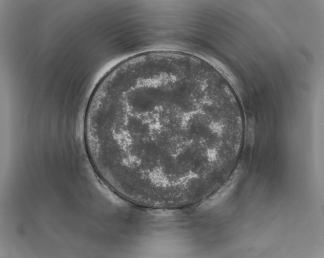 X0000111650862200908141250