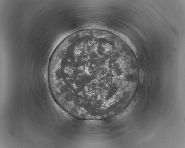 X0000111650863200908141250