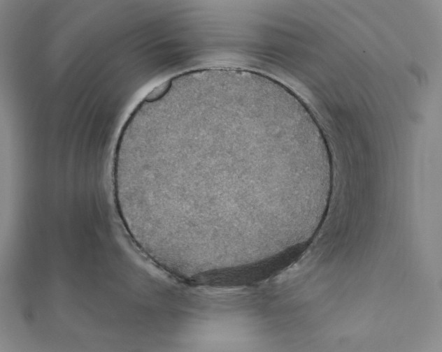 X0000111650864200908141250