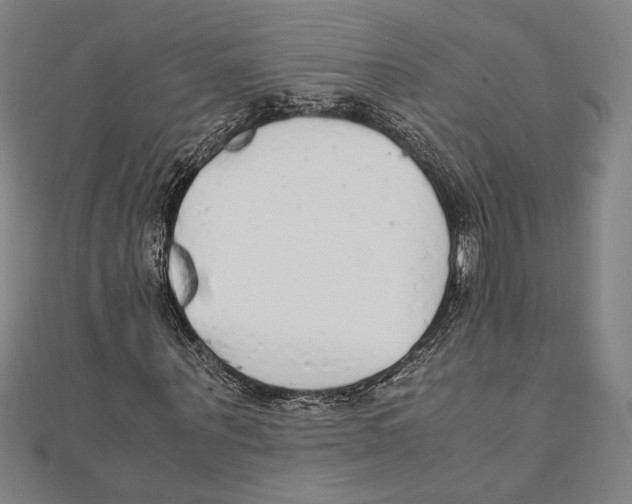 X0000111650867200908141249