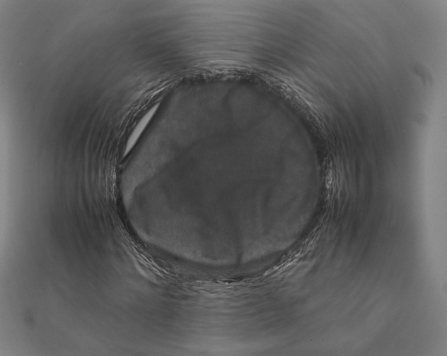 X0000111650868200908141249
