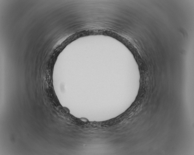 X0000111650871200908141249