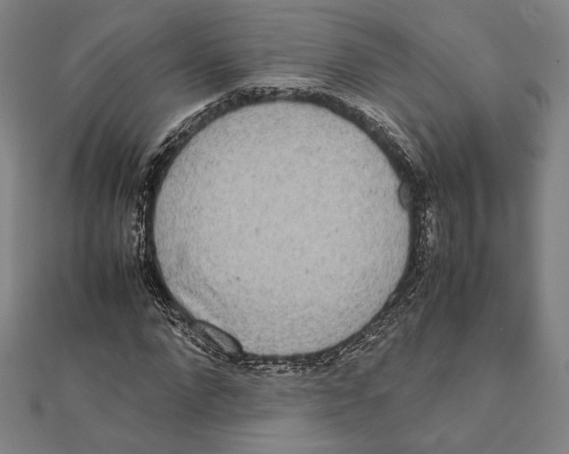X0000111650872200908141249