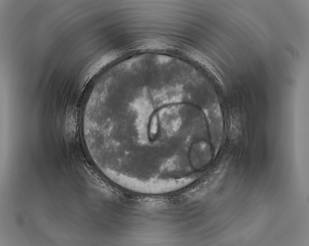 X0000111650874200908141249