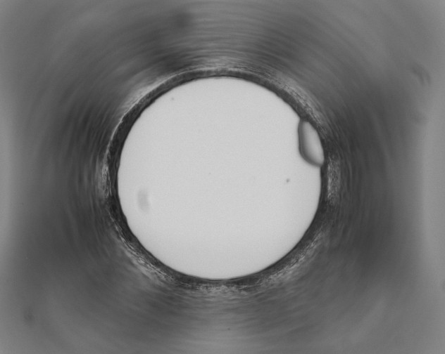 X0000111650876200908141249