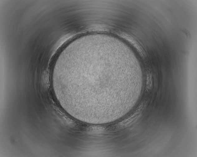 X0000111650878200908141249