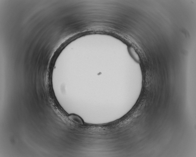 X0000111650880200908141249
