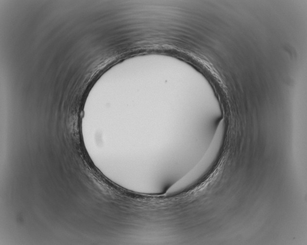 X0000111650881200908141249