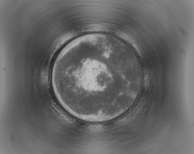 X0000111650882200908141249